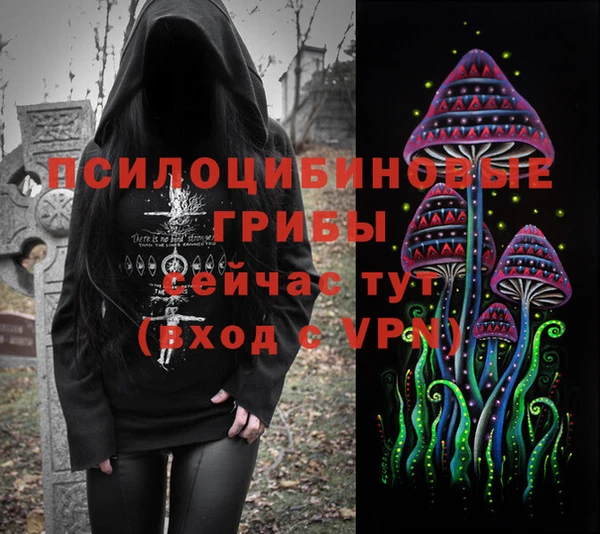 сатива Арсеньев