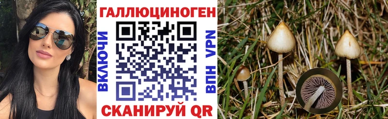 Псилоцибиновые грибы Psilocybe  Судак 