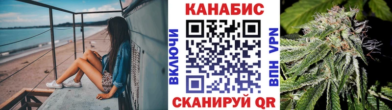 купить наркотики цена  Судак  кракен онион  Шишки марихуана план 